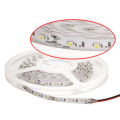 Flexible 2835 SMD 120 LED Strip IP64 12V 40mA 15~15.5 Lumen/LED 2 Years Warranty